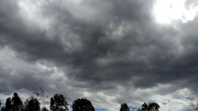 tras el paso de la lluvia, baja la temperatura: asi estara el clima en la plata