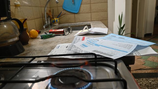 asi sera la canasta basica energetica de milei y el nuevo esquema de subsidio para luz y gas