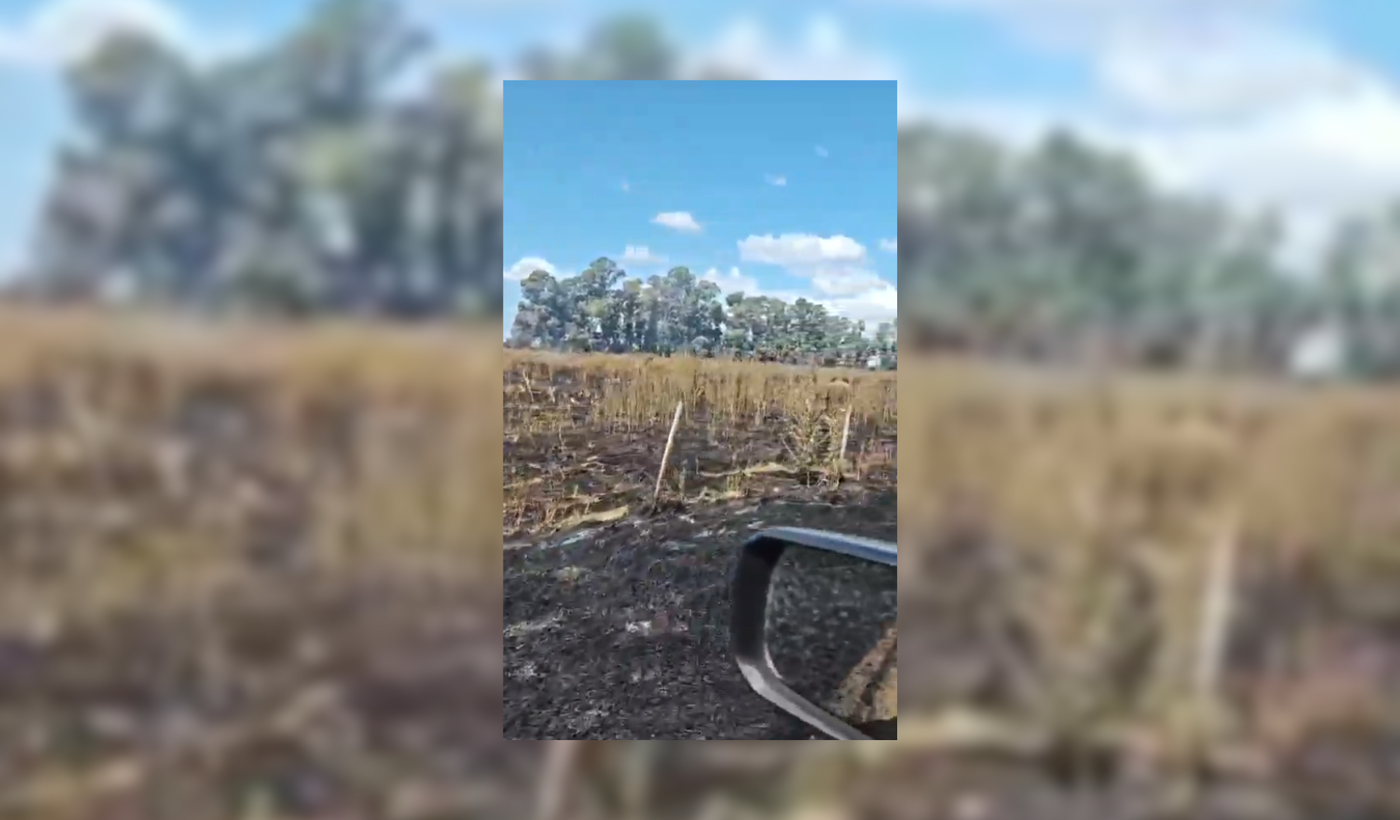 Diseño sin título (4)