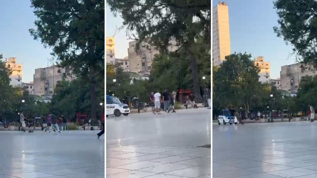 un grupo de jovenes protagonizo una violenta pelea en plaza san martin con el tito como testigo