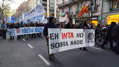 El Gobierno oficializó los retiros voluntarios en el INTA para reducir 1.000 puestos de trabajo El Gobierno oficializó los retiros voluntarios en el INTA para reducir 1.000 puestos de trabajo