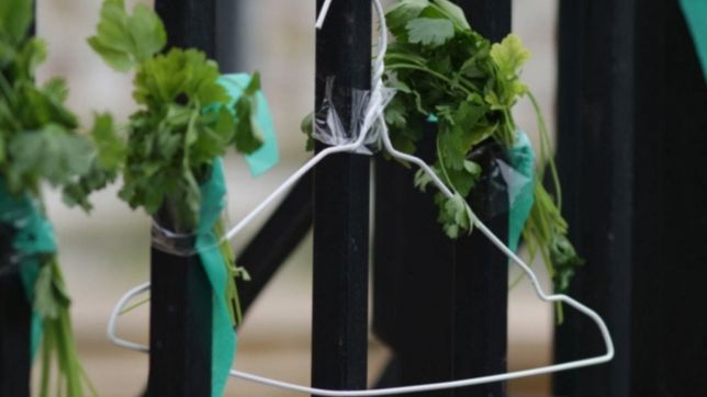 una mujer de 40 anos murio tras un aborto inseguro y protestaron con un ?perejilazo?