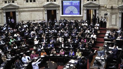 La Cámara de Diputados aprobó la suspensión de las PASO