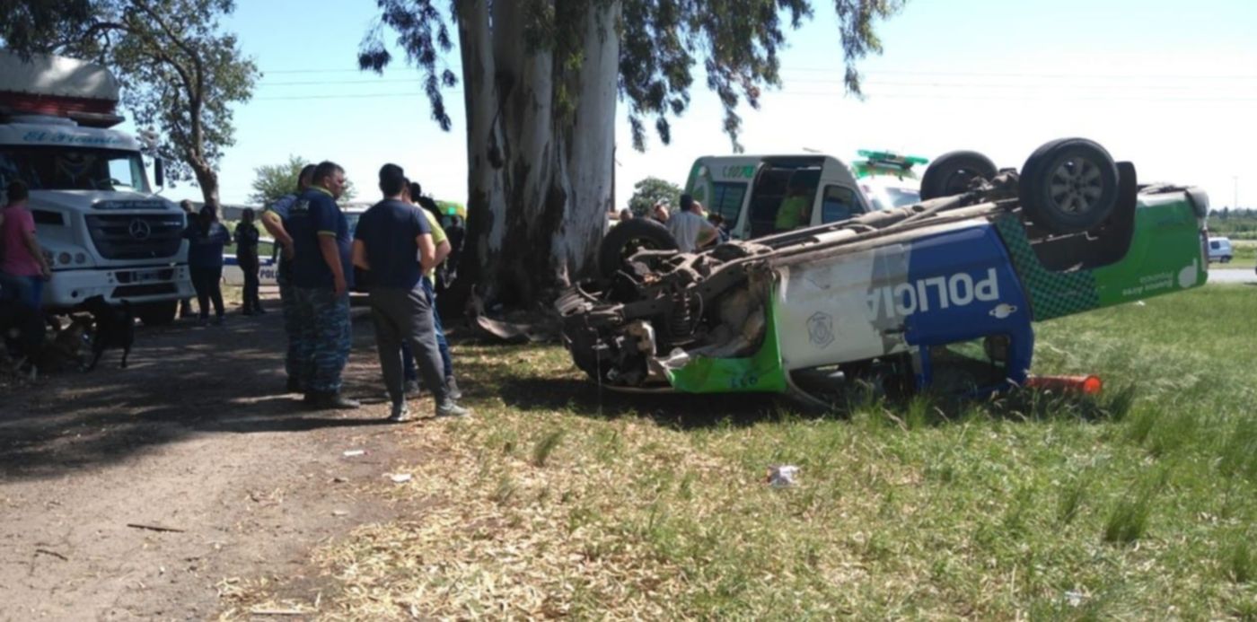 1573159176585.jpg?oh=640&x=15&rotate=0&scaleX=1&scaleY=1&ow=1280&y=4&width=1261&height=630&&cw=1920&ch=950