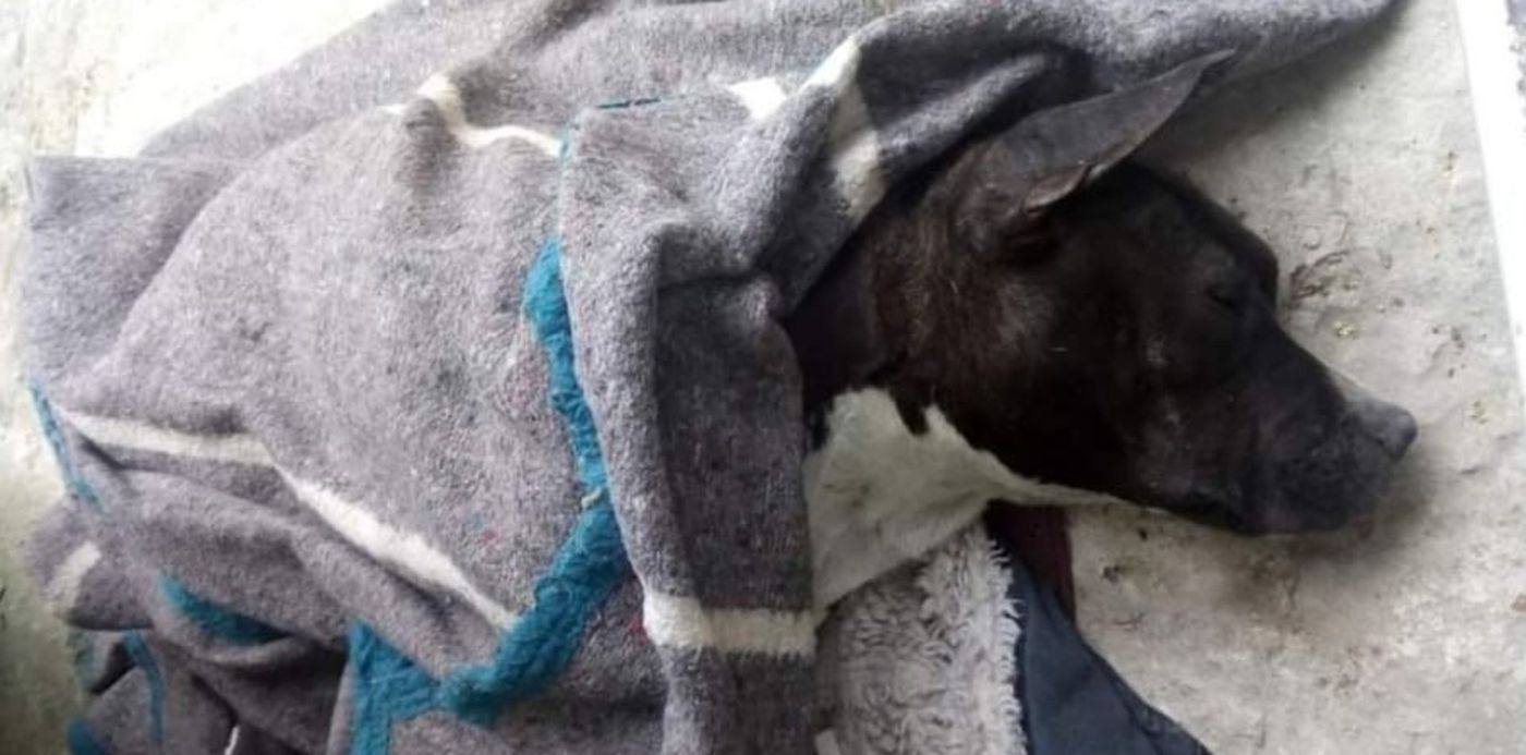 1577359519904.jpg?x=2&y=59&rotate=0&ow=905&width=900&height=450&scaleX=1&scaleY=1&oh=509&&cw=1920&ch=950