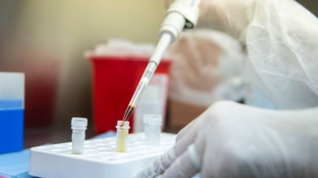 revelan nuevas pistas sobre el origen de la pandemia de coronavirus en wuhan