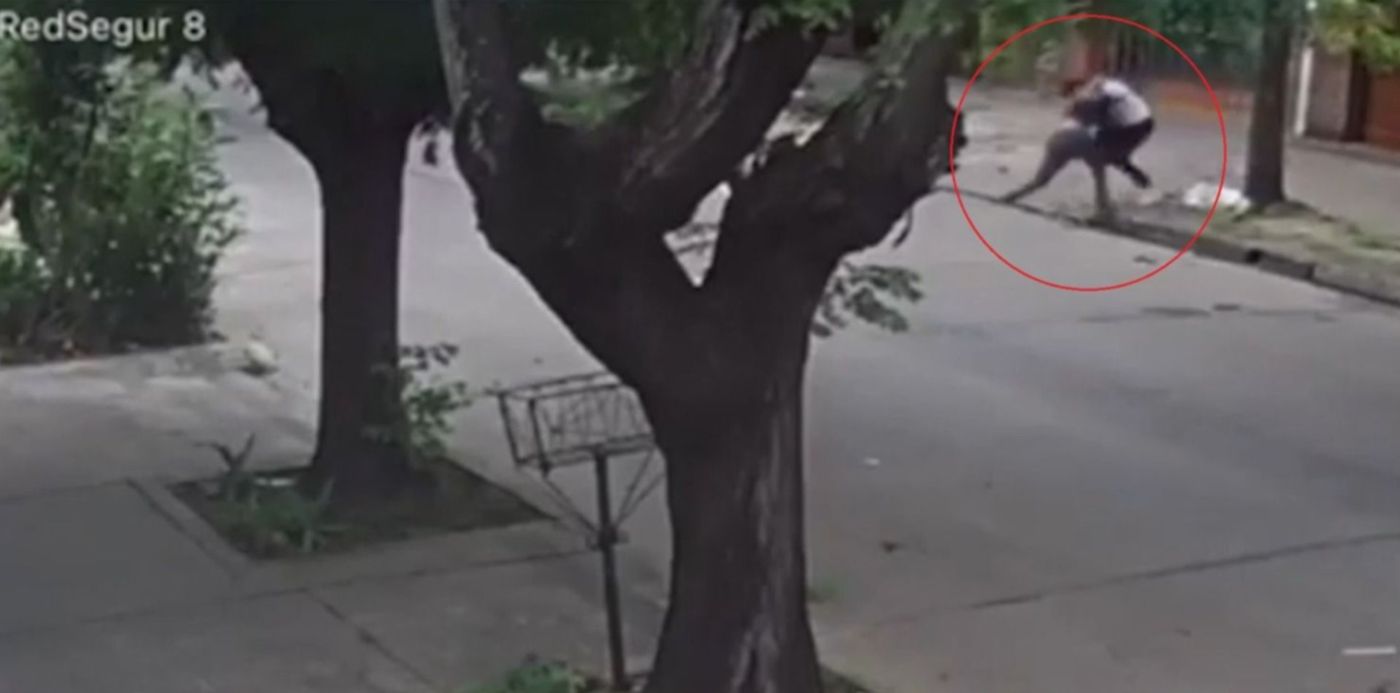 1644348811060.jpg?x=7&y=3&width=1486&height=744&rotate=0&scaleX=1&scaleY=1&ow=1500&oh=843&&cw=1920&ch=950