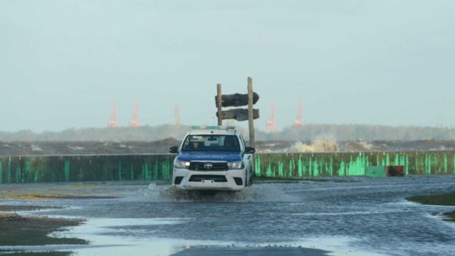 que se sabe del hombre que murio ahogado en berisso cuando quiso salvar a sus hijos