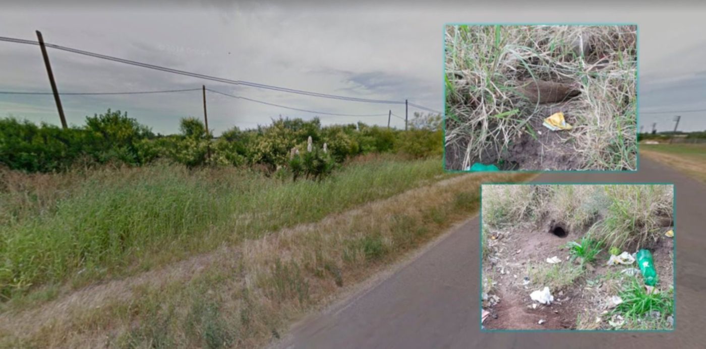 1547736094937.jpg?x=7&y=48&ow=1500&width=1484&height=742&rotate=0&scaleX=1&scaleY=1&oh=843&&cw=1920&ch=950