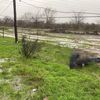 Identificaron al jinete que murió junto a su caballo tras recibir una descarga eléctrica