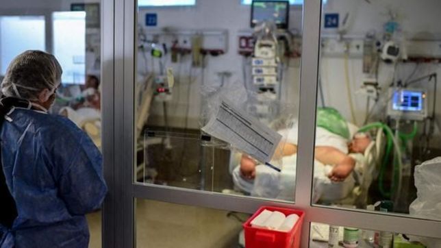 reconocidos cientificos vinculan la hepatitis grave en ninos con el coronavirus