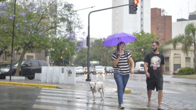 clima en la plata: domingo inestable, nublado y con probabilidades de lluvias