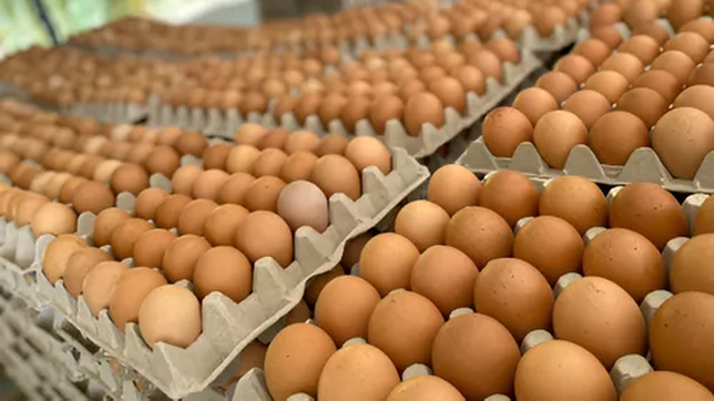 asaltaron a otro productor de huevos en la plata: le robaron mas de 5 millones de pesos