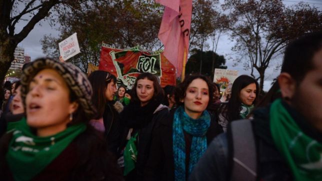 ya esta disponible la app de autocuidado del 34° encuentro feminista en la plata: ¿como descargarla?