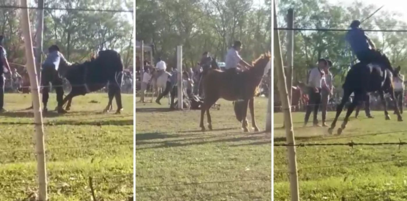 1648561548592.jpg?x=8&y=0&width=1484&height=742&rotate=0&scaleX=1&scaleY=1&ow=1500&oh=742&&cw=1920&ch=950