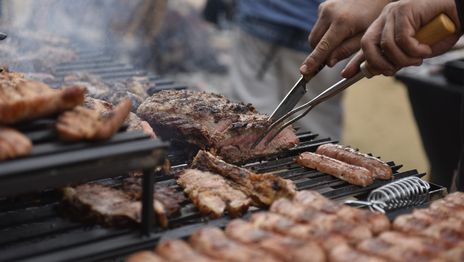 Una vecina de La Plata volvió de un asado y encontró a dos ladrones dentro de su casa