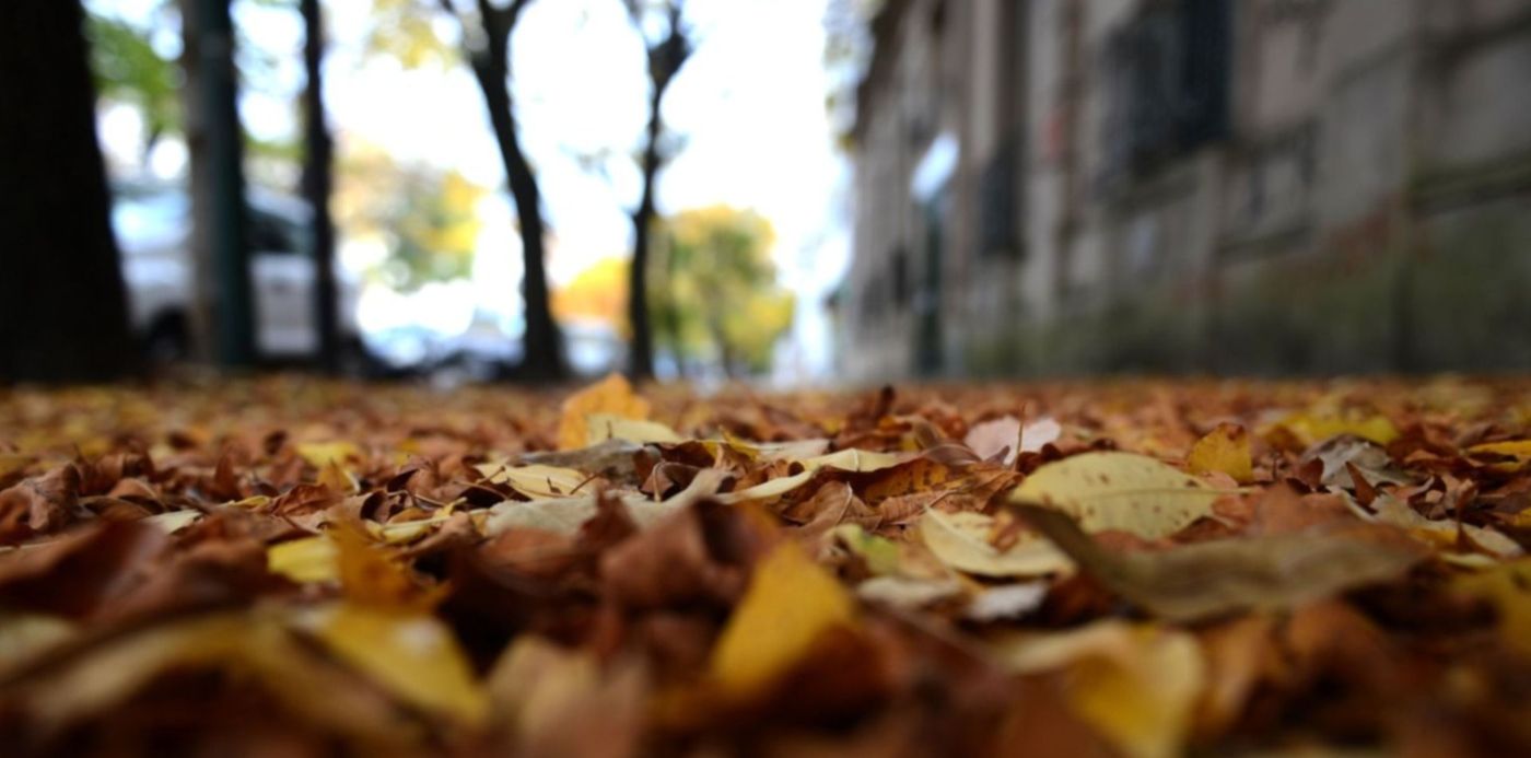 1587694282601.jpg?x=7&y=11&width=1483&scaleY=1&height=742&rotate=0&scaleX=1&ow=1500&oh=996&&cw=1920&ch=950