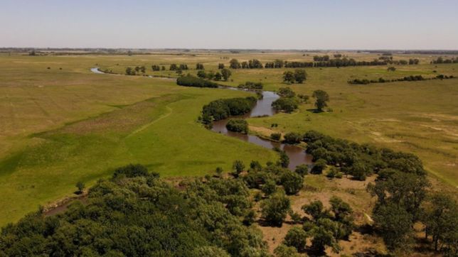 la justicia ordeno paralizar las obras ilegales en el humedal del arroyo el pescado
