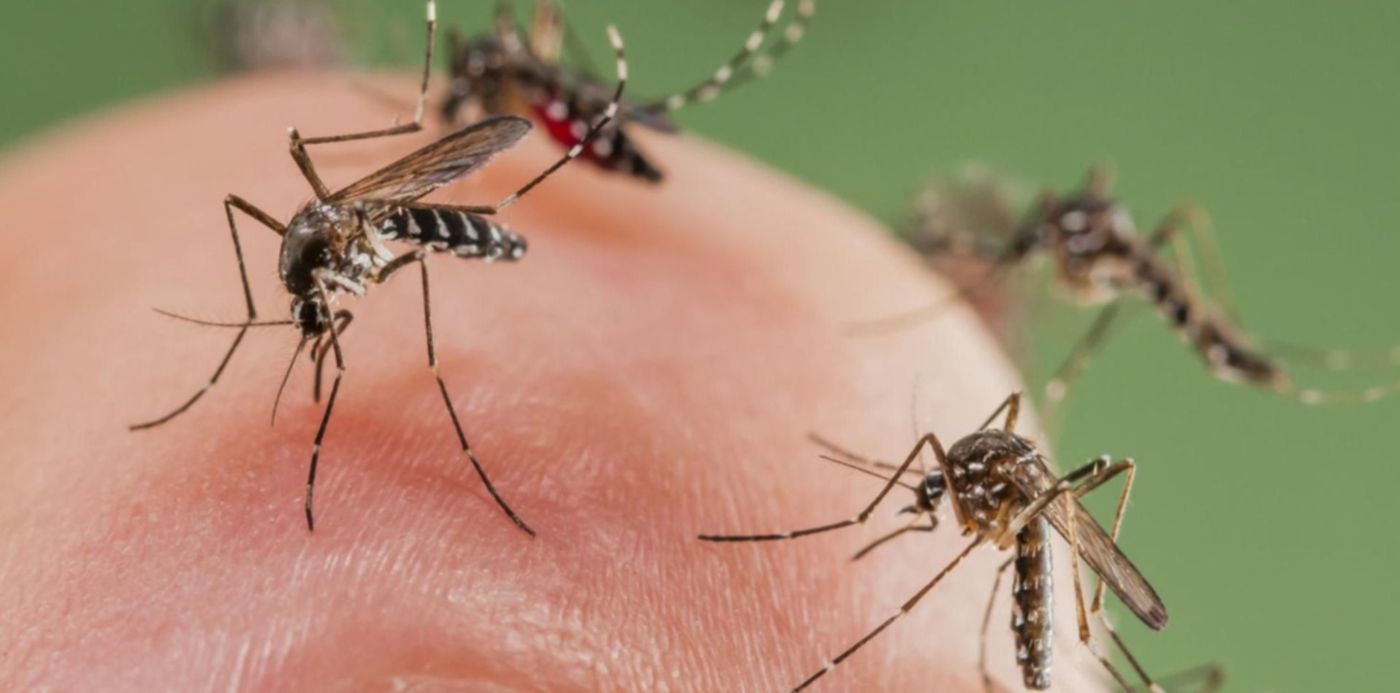 1543277281603.jpg?y=168&width=1492&rotate=0&scaleX=1&scaleY=1&ow=1500&oh=996&x=4&height=746&&cw=1920&ch=950