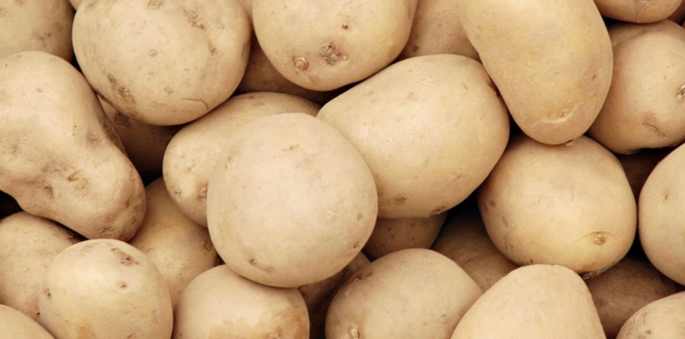 1573037393420.jpg?width=1485&height=743&rotate=0&scaleX=1&scaleY=1&oh=1125&x=8&y=263&ow=1500&&cw=1920&ch=950