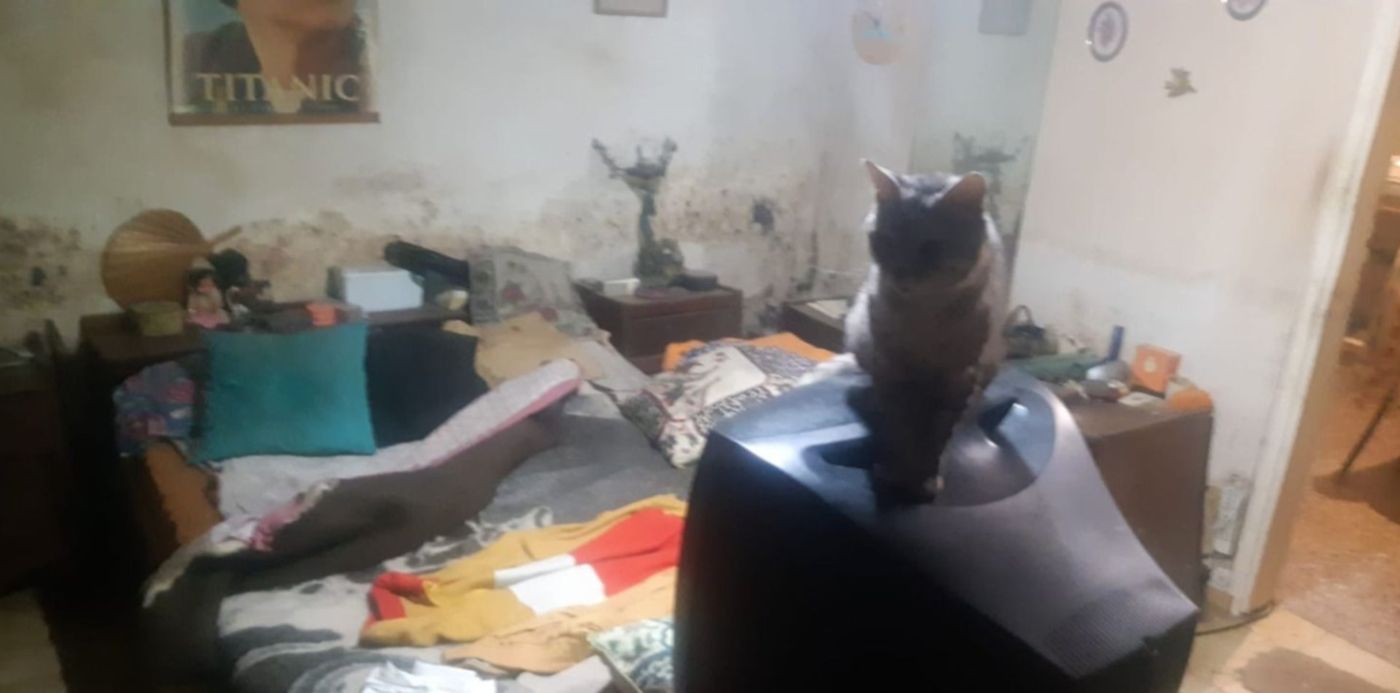 1644096124973.jpeg?x=29&y=0&width=1456&height=728&rotate=0&scaleX=1&scaleY=1&ow=1500&oh=728&&cw=1920&ch=950