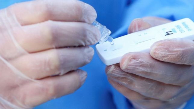 la provincia empezara a testear a docentes, auxiliares y trabajadores de la educacion