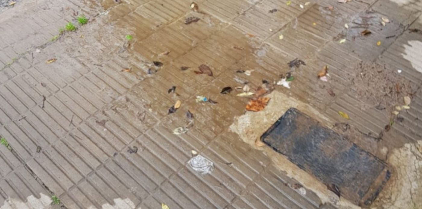 1567192917654.jpeg?oh=1280&ow=960&y=521&width=951&height=476&rotate=0&scaleX=1&scaleY=1&x=6&&cw=1920&ch=950