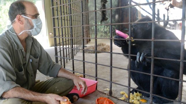 los trabajadores del ex zoo de la plata desmintieron que los animales mueran de hambre