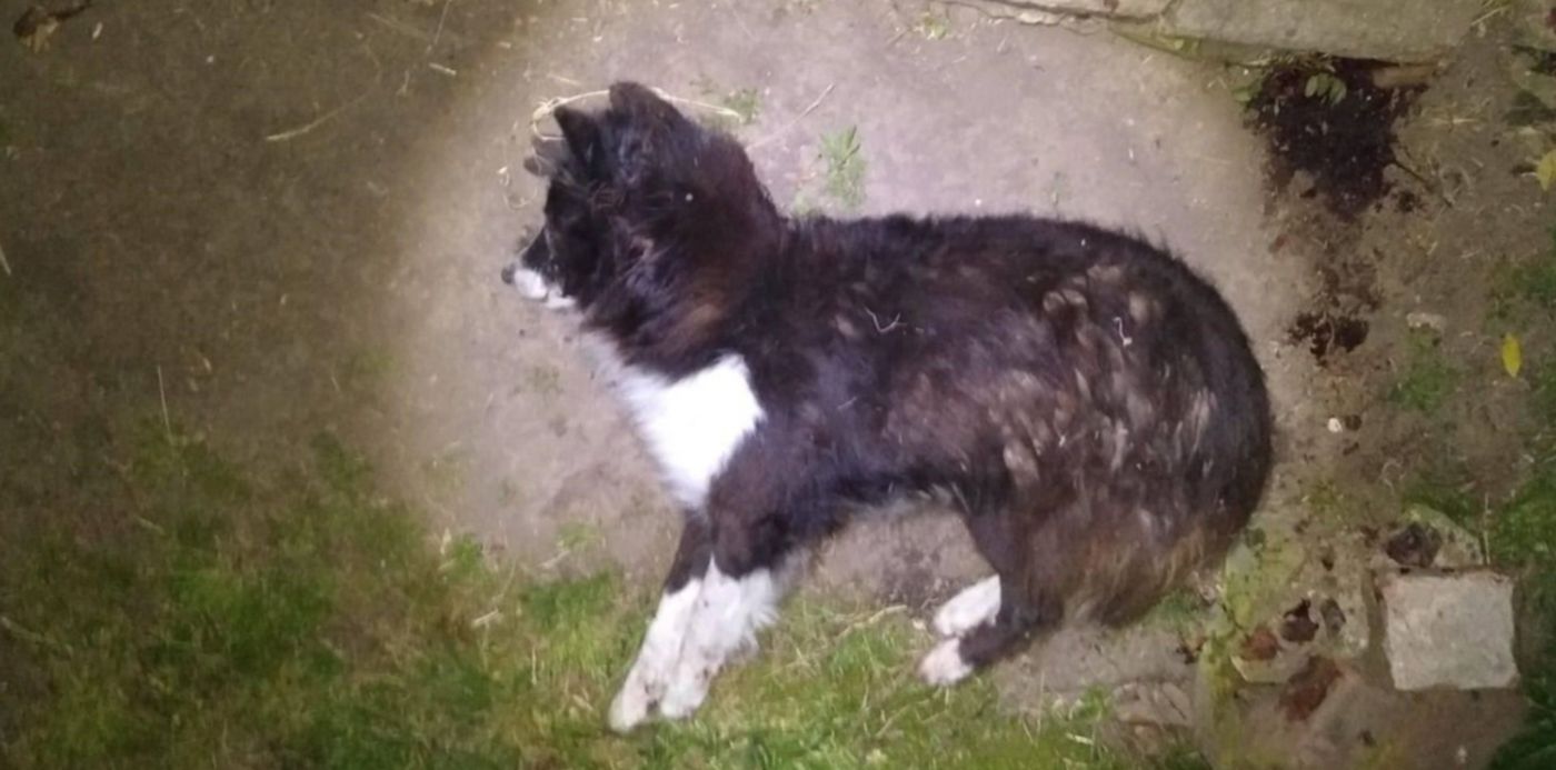 1572898706117.jpg?x=23&scaleX=1&scaleY=1&ow=1500&oh=1125&y=289&width=1470&height=735&rotate=0&&cw=1920&ch=950