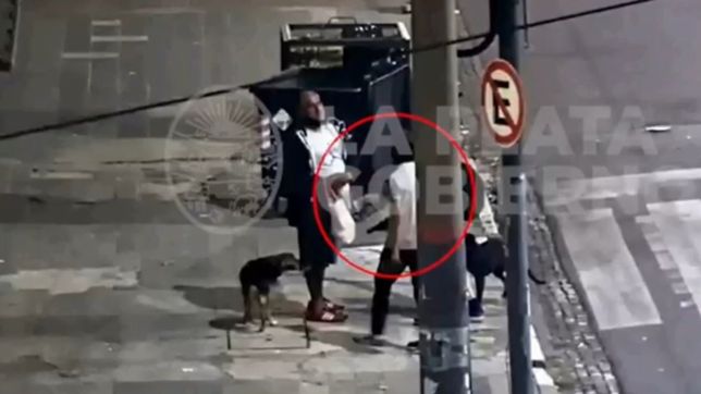 video: atraparon a dos ladrones que intentaron robarle a un hombre con un arma de juguete
