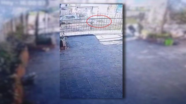 arrastro a su perro con el auto durante varios metros, quedo filmada y los vecinos la escracharon