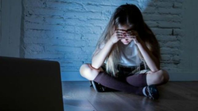 la defensoria del pueblo realizara la charla ?bullying como impulsor del grooming?