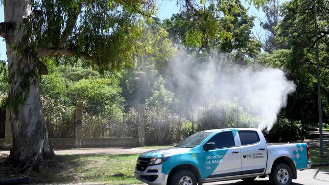 multiplican las tareas de fumigacion en la plata contra la invasion de mosquitos