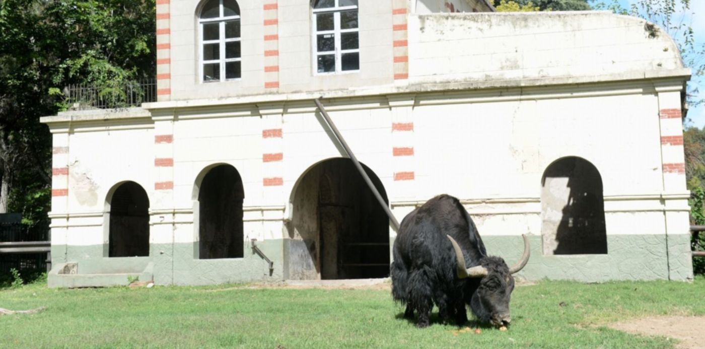 1536266867681.jpg?scaleX=1&x=7&y=239&width=1489&height=745&rotate=0&scaleY=1&ow=1500&oh=998&&cw=1920&ch=950