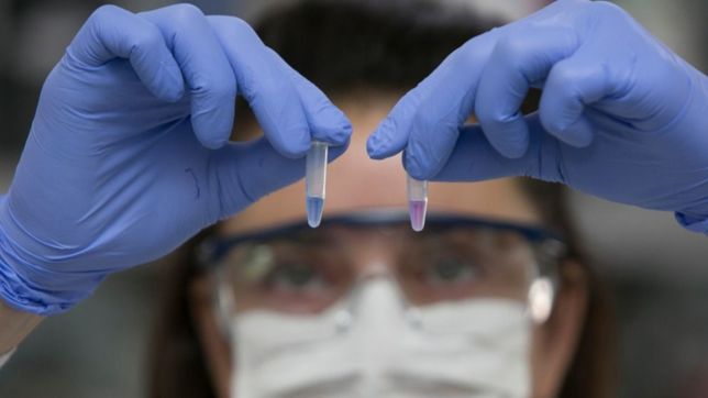 argentina sumo 179 muertes y 41.978 contagios de covid-19 en las ultimas 24 horas