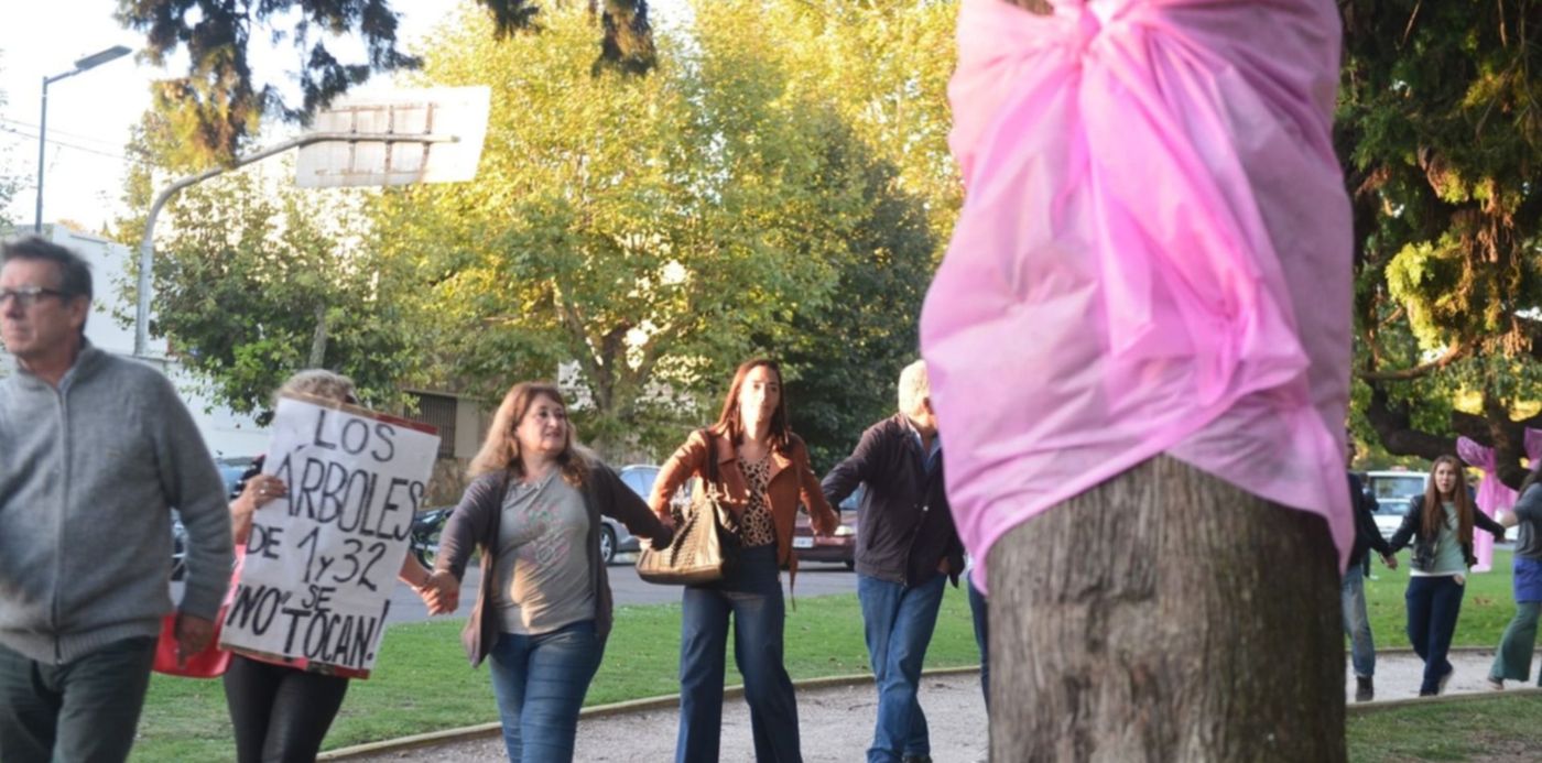 1553295523734.jpg?ow=1500&oh=996&x=1&y=39&rotate=0&scaleX=1&scaleY=1&width=1495&height=748&&cw=1920&ch=950