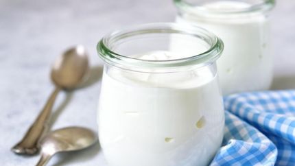 ¿Cómo es el yogurt desarrollado por investigadores del CONICET con fines sociales?