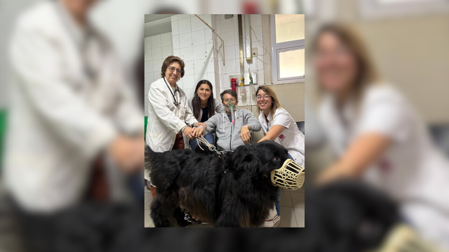 un hospital de la plata permite que los pacientes internados reciban a sus perros