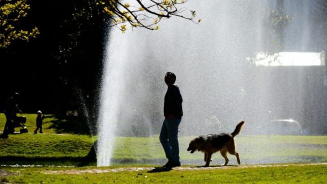 despues de la lluvia se viene un sabado agradable de sol en la plata