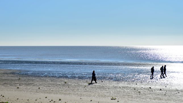 asi fue el rescate del kayakista que cayo en el rio de la plata
