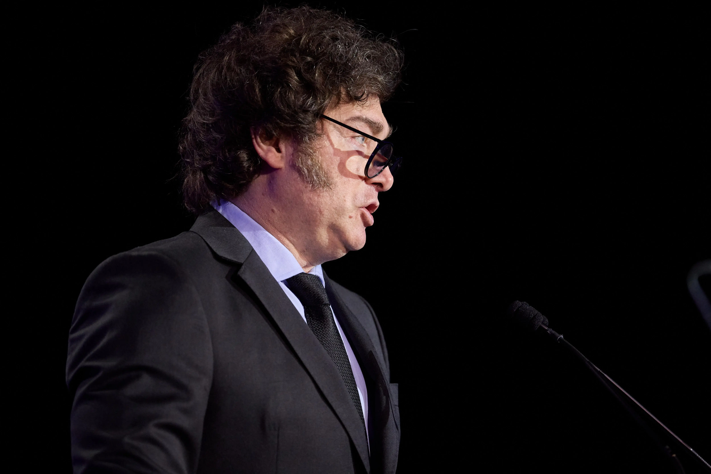 Javier Milei (4).webp