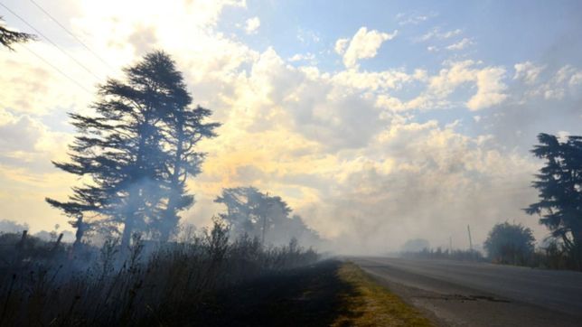 el voraz incendio que se desato en estancia chica consumio mas de 30 hectareas