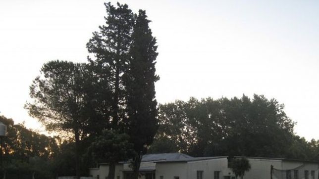 una banda asalto al trabajador de una fundacion terapeutica y luego apedreo el lugar