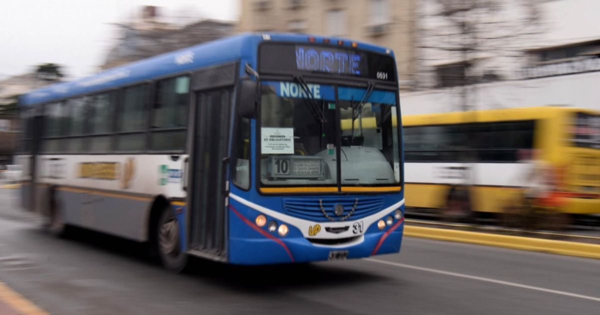 Aunque no hubo acuerdo, levantaron el paro y ya hay micros en La Plata