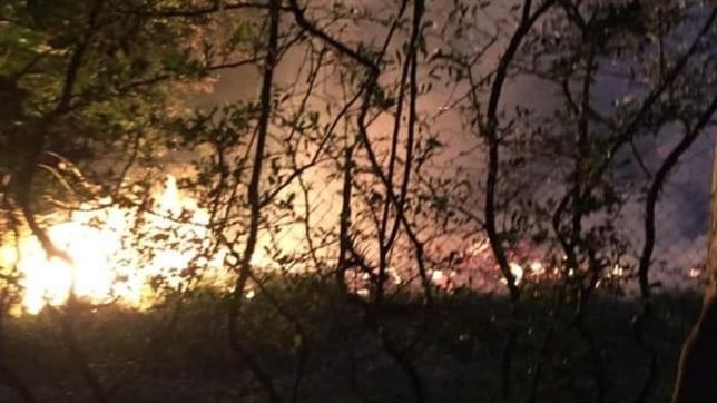 una quema de basura en la plata estuvo a punto de salirse de control e incendiar una casa