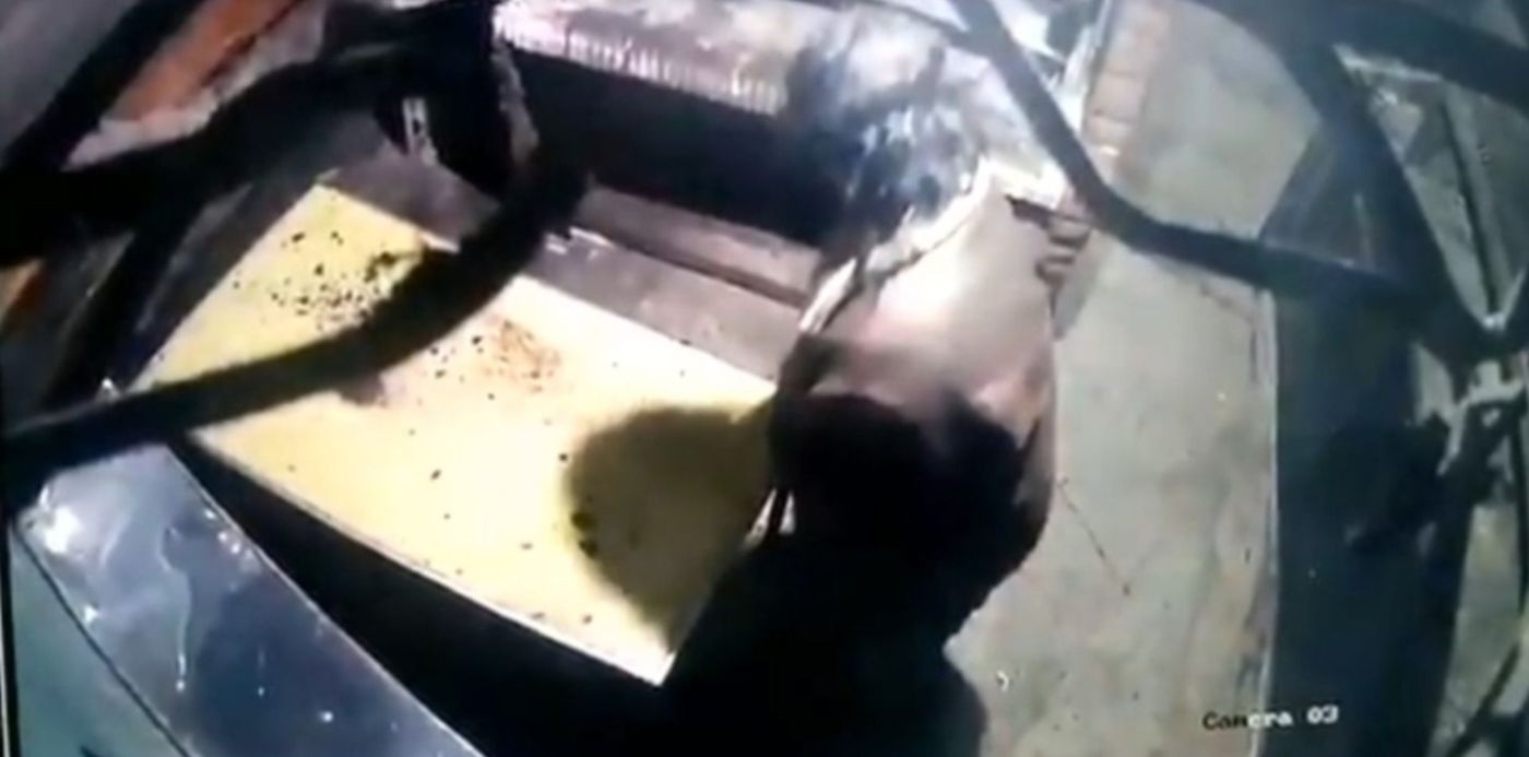 1591624959894.jpg?scaleX=1&oh=839&ow=1500&x=13&y=80&width=1474&height=737&rotate=0&scaleY=1&&cw=1920&ch=950