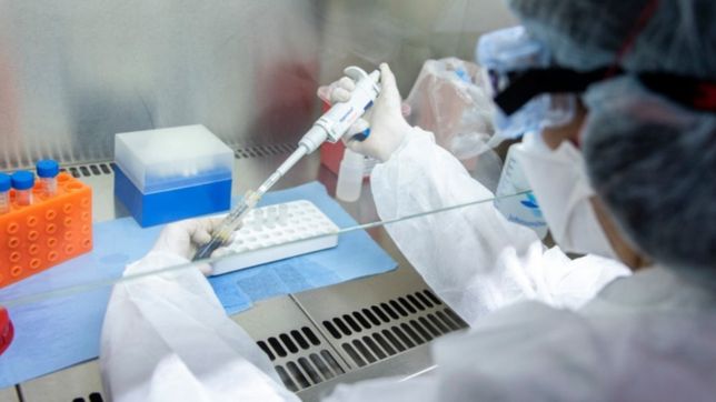 con 198 nuevas muertes por coronavirus, argentina se acerca a las 39.000 victimas fatales