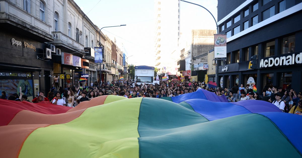 La comunidad LGBT+ de La Plata se moviliza a 7 y 50 en repudio a las ...