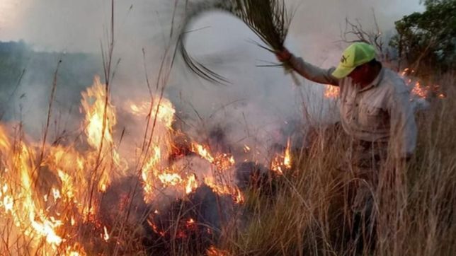 los incendios en corrientes, bajo la lupa de dos expertos de la unlp