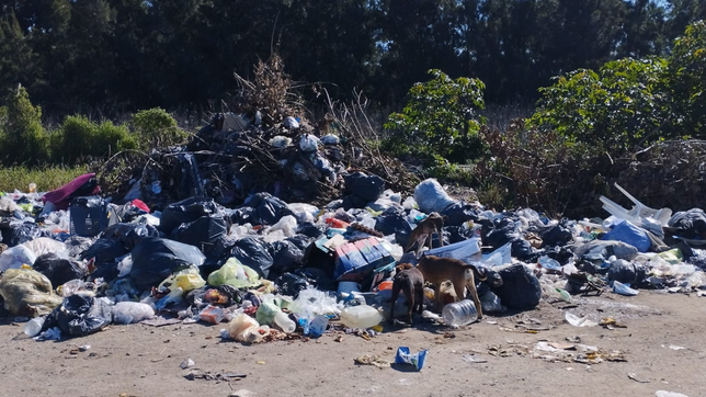 vecinos de los hornos denuncian que esur dejo un basural en una calle